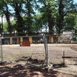 New Amur leopard exhibit construction, 2025-05-23