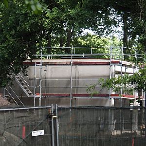 New Amur leopard exhibit construction, 2025-05-23