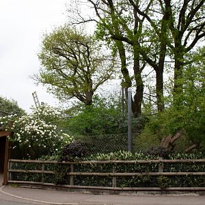 Current progress on Red Panda Exhibit