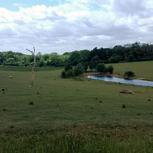 View of Valley from Café Graze 010625