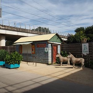 Snack stand with donkey statues, 2024-06-30
