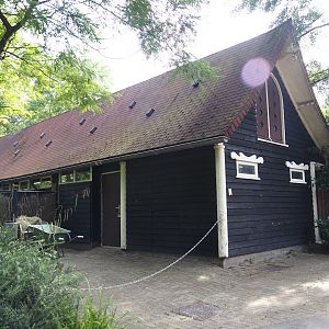 Mhorr gazelle stable, 2024-06-30