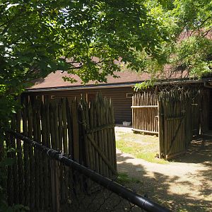 Mhorr gazelle separation paddock, 2024-06-30