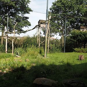Vulture, marabou and secretary bird aviary, 2024-06-30