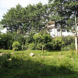 Vulture, marabou and secretary bird aviary, 2024-06-30