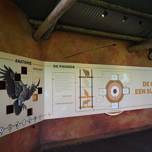 Education in the viewing area for the vulture, marabou and secretary bird aviary, 2024-06-30