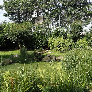 Vulture, marabou and secretary bird aviary, 2024-06-30