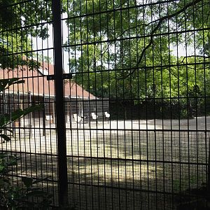 Chapman's zebra and North African ostrich stable and separation paddocks, 2024-06-30