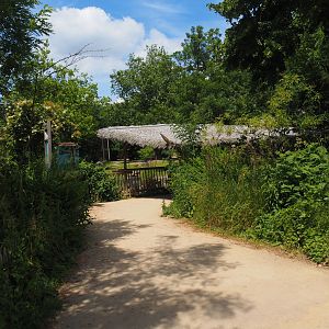 Viewing area for Chapman's zebra and North African ostrich paddock, 2024-06-30