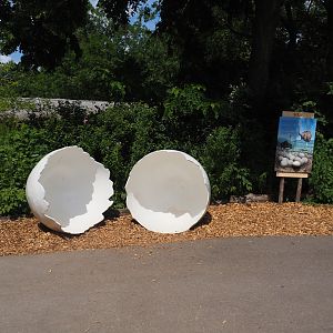 Giant egg and sign about ostrich reproduction, 2024-06-30