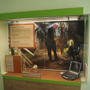 Educational display about the activities of zoo vets, 2024-06-30
