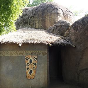 Viewing hut for African monkey indoor exhibit, at the time home to White-naped mangabeys, now housing Diana monkeys, 2024-06-30