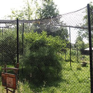 Serval exhibit, 2024-06-30