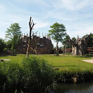 Reticulated giraffe and Greater kudu (Now replaced by Saharan Dorcas gazelles) exhibit, 2024-06-30