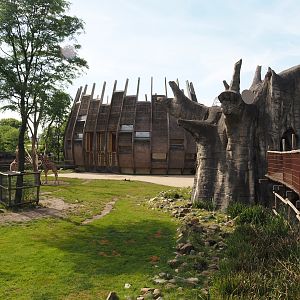 Reticulated giraffe and Greater kudu (Now replaced by Saharan Dorcas gazelles) exhibit, 2024-06-30