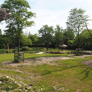 Reticulated giraffe and Greater kudu (Now replaced by Saharan Dorcas gazelles) exhibit, 2024-06-30