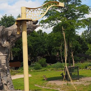 Giraffe browse feeder, 2024-06-30