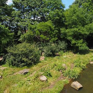 Spotted hyena exhibit, 2024-06-30