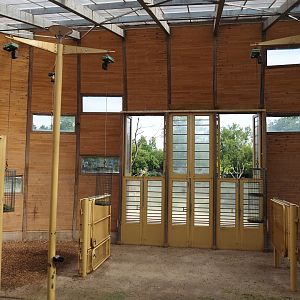 Reticulated giraffe house, 2024-06-30