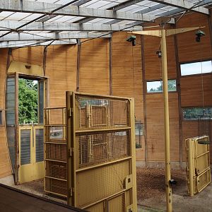 Reticulated giraffe house, 2024-06-30