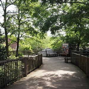 Boardwalk in the savanna area, 2024-06-30