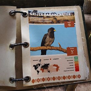 Congo Forest aviary - Example of signage in bird identification book, 2024-06-30