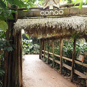 Walkway in the Okapi greenhouse - Indoor housing for okapis and birds of Congo Forest aviary, 2024-06-30