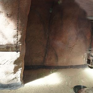 Cape ground squirrel, Guinea turaco and Purple glossy starling indoor housing, 2024-06-30