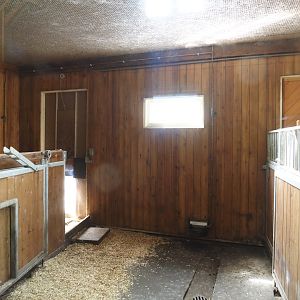 Indoor housing for red river hogs, 2024-06-30