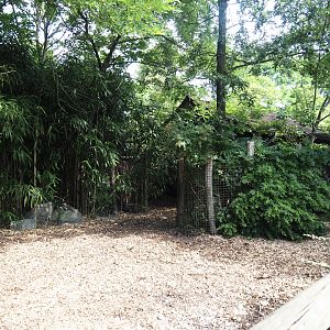 Red forest buffalo paddock, 2024-06-30