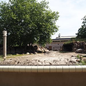 Second Eastern black rhinoceros paddock, 2024-06-30
