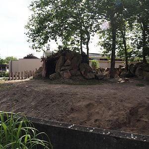 First Eastern black rhinoceros paddock, 2024-06-30