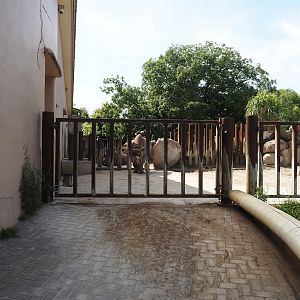 Gate into the black rhinoceros paddocks, 2024-06-30