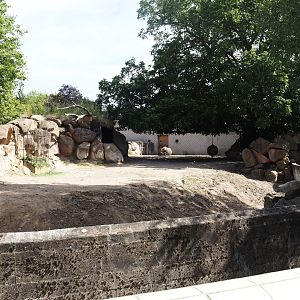 Third Eastern black rhinoceros paddock, 2024-06-30