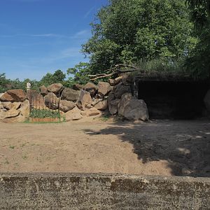 Third Eastern black rhinoceros paddock, 2024-06-30