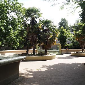 Viewing area for Eastern black rhinoceros and Pygmy hippopotamus exhibits, 2024-06-30