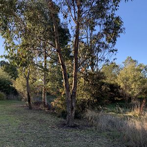 Diamond Drive Reserve