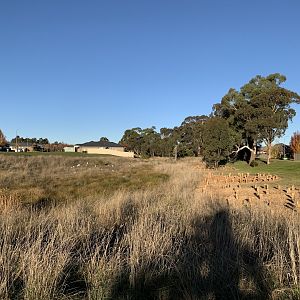 Diamond Drive Reserve