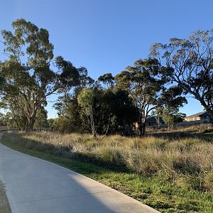 Diamond Drive Reserve