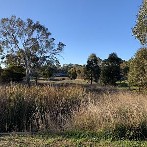 Diamond Drive Reserve