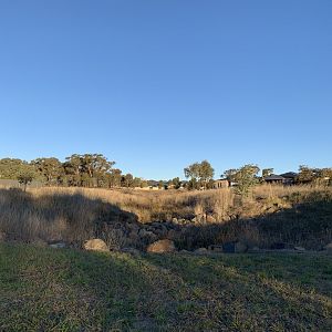 Diamond Drive Reserve