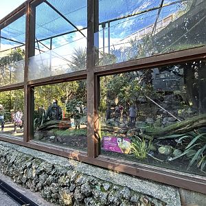 Squirrel Monkey Exhibit