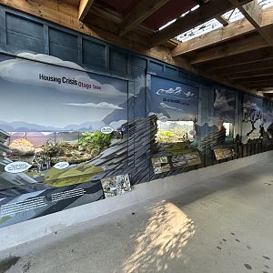 Native Herp Exhibits