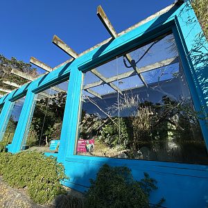 Himalayan Monal & Derbyan Parakeet Exhibit