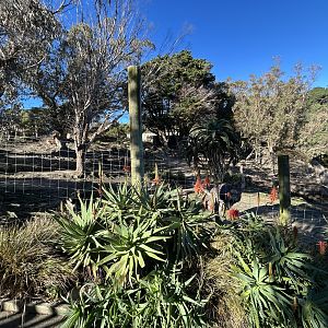 Nyala & Ostrich Exhibit