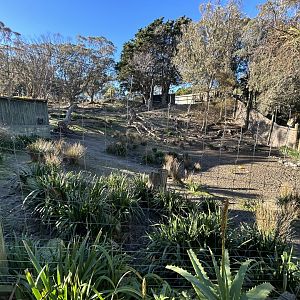 Nyala & Ostrich Exhibit