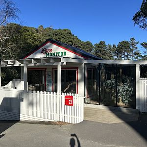 Lace Monitor Exhibit