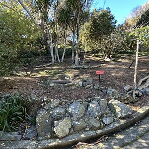 Kangaroo & Wallaby Walkthrough Exhibit