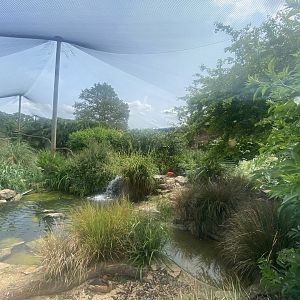 Walled Garden Aviary 310525