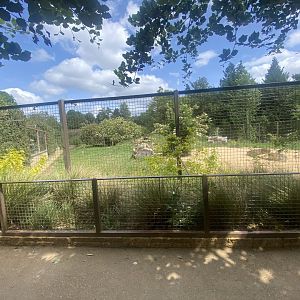 Asiatic lion enclosure 310525